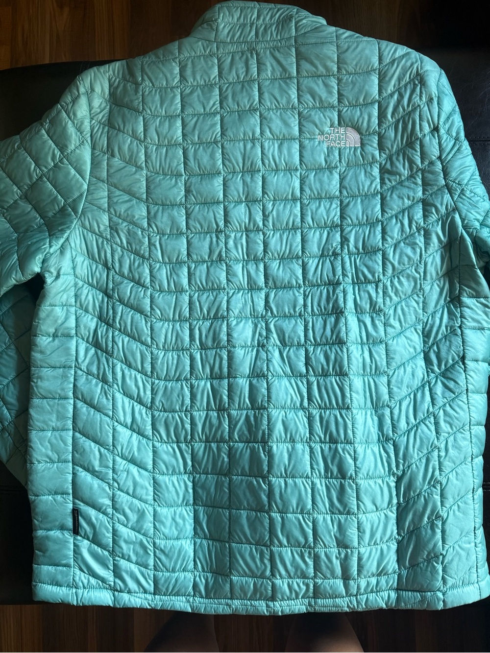 The North Face Men’s Light Aqua Quilted Puffer Jacket